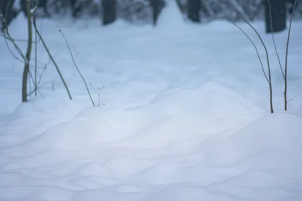 Zimní Krajina Zasněženém Parku Zimní Vánoční Pozadí Sněhem Zimní Krajina — Stock fotografie