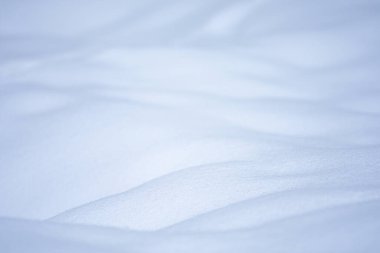 Kopyalama alanı olan parlak karlı arkaplanı özetle. Kar yağışı ile kış bahçesi arka planı.