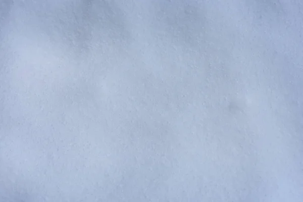 圣诞节的背景 冬日阳光普照 雪白如雪 — 图库照片