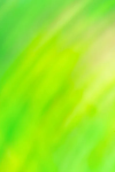 Green  blur template design. Green  blurred background with bokeh.