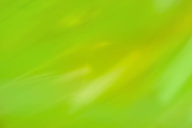 Soyut bokeh yeşil arkaplan. Yeşil odaklanmamış bulanık efekt arkaplanı.