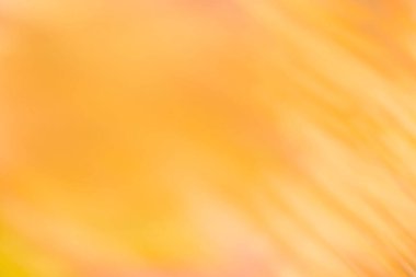 Bal bulanık arka plan. Mellifent bal rengi bulanık arkaplan. 