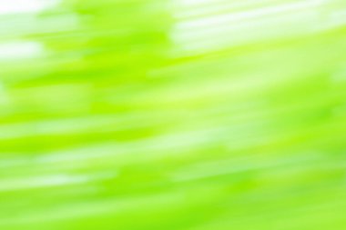 Fotokopi alanı ile yeşil bulanık arkaplan. Yeşil bulanık, odaklanmamış fotoğraf efekti.
