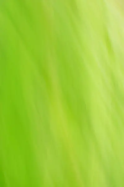 Bewegung Verschwimmt Grünen Hintergrund Grüner Hintergrund Verschwommen Und Defokussiert — Stockfoto