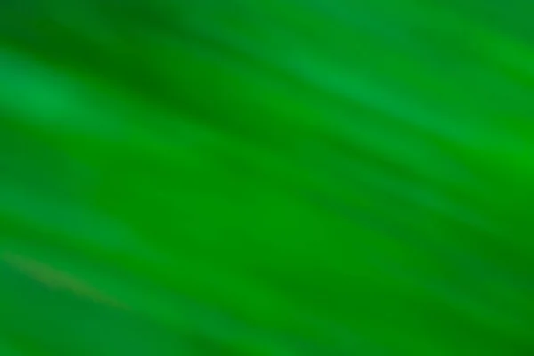 緑の霞ボケの背景 緑のオリーブの色フォーカスの背景からぼやけた動き — ストック写真