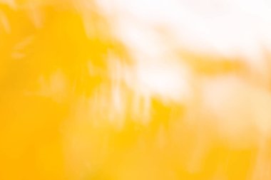 Doğadan gelen sarı, güneşli bokeh arka plan. Akşamları doğanın günbatımı bulanık duvar kağıtları.