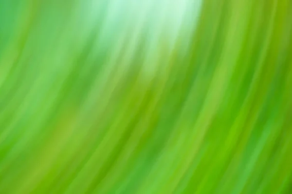 Abstract Milieu Achtergrond Natuur Groen Biologisch Eco Product Wazig Oppervlak — Stockfoto