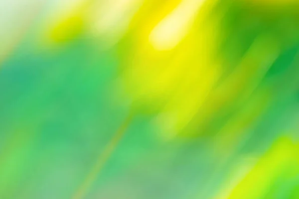 Kleurrijke Groene Onscherpe Textuur Voor Ontwerp Wazig Groene Natuurlijke Achtergrond — Stockfoto