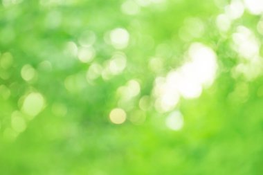 Bokeh yeşili doğa. Kopya alanı ile yeşil doğa bokeh arkaplan