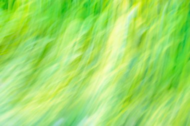 Parlak yeşil arka plan ve güneş patlaması. Soyut doğa yeşil arkaplan. 