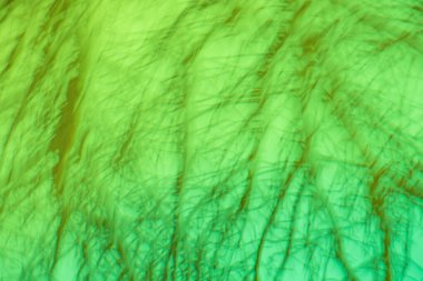 Güzel bulanık orman arka planı. Bahar ya da yaz soyut doğa geçmişi