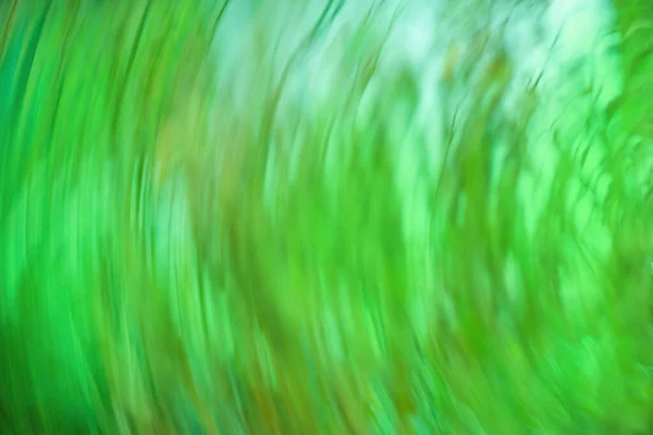 Hinterlässt Bokeh Für Die Natur Hintergrund Grüner Bokeh Hintergrund Defokussierte — Stockfoto