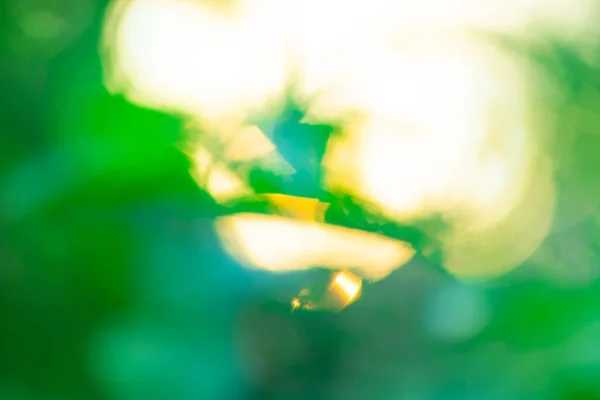 Résumé Bokeh Brouillé Soleil Jaune Ciel Bleu Summer Abstrait Bokeh — Photo