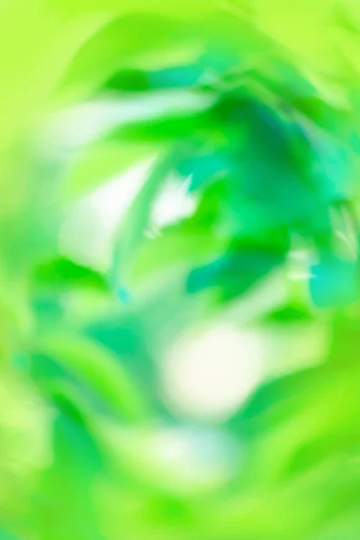 Zielona Piękna Natura Zielone Eko Tło Dla Projektu — Zdjęcie stockowe