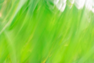 Yeşil odaklanmış dinamik soyut arkaplan. Uzun süreli hareket bulanıklığı