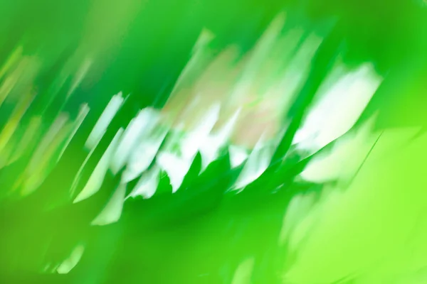 Verde Brilhante Borrão Desfocado Fundo Com Borrão Colorido — Fotografia de Stock