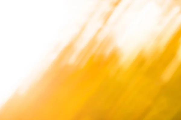 Honig Verschwommen Hintergrund Mellifluent Honig Farbe Verschwommenen Hintergrund — Stockfoto