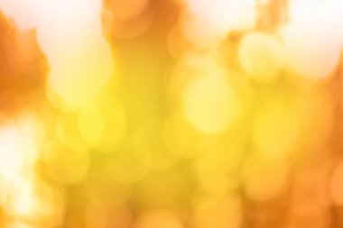 Bokeh 'in altın renkli arka planı. Altın yanıp sönen ve sarı halka bokeh arkaplan.