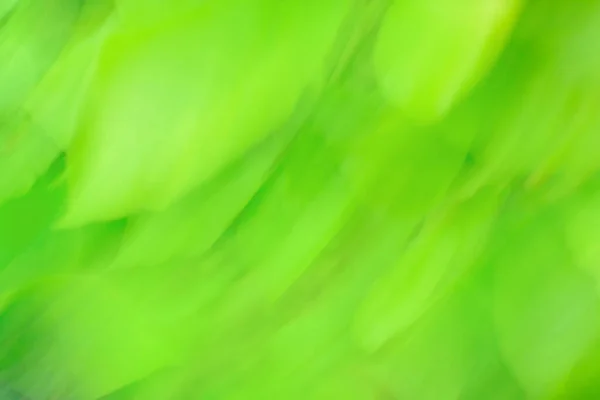 Groene Glanzende Onscherpe Achtergrond Met Kleurrijke Vervaging — Stockfoto