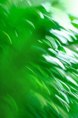 Renkli bulanıklık ile yeşil parlak bulanık arkaplan