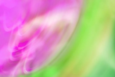 Yeşil çayır, biyolojik geçmişi bulanıklaştırdı. Şaşırtıcı yeşil bitkiler yeşillik arkaplanı bulanıklaştırıyor