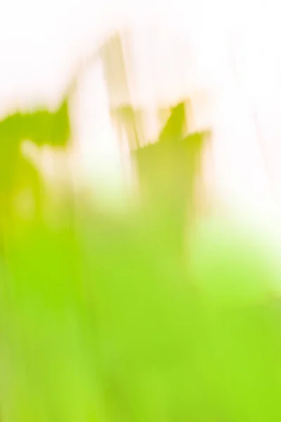 Groene Vonken Vliegen Rond Groene Kleurrijke Lichten Wervelend Rond Gekleurde — Stockfoto