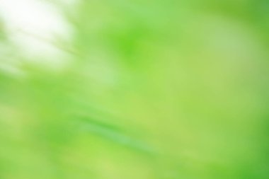 Hareket bulanıklaştırılmış, soyut yeşil arkaplan. Yeşil soyut odaklanmış hareket bulanık arkaplan. 