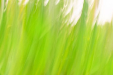 Yeşil odaklanmış dinamik soyut arkaplan. Uzun süreli hareket bulanıklığı