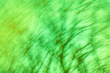 Hareket bulanıklığı etkisiyle yeşil yavaş deklanşör hızı. Doğal yeşil uzun süre maruz kalma hareketi bulanıklığı.