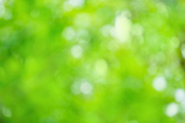 Bokeh yeşil nötr ışıkları. Bokeh nötr yeşil ışıklar evrensel doku. 