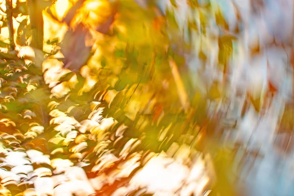 Autumn landscape blurred background. Blurred autumn background with sunburst.