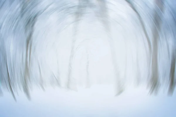 Зимовий Ліс Чарівний Відволікаючий Фон Краса Зимовий Сніг Мороз Розмитий — стокове фото