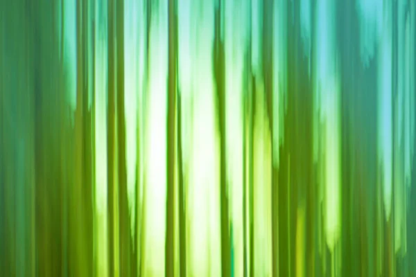 Defocus Flou Vert Abstrait Feuilles Papier Peint — Photo