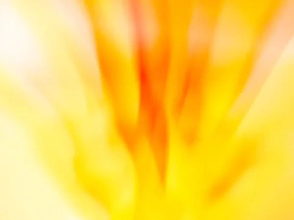 Motion Blur Orange Color Background Colorful Orange Blurred Background — Stockfoto