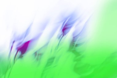 Çok renkli soyut odaklanmış bulanık efekt arka planı. Çiçek arkaplan doğa bokeh.