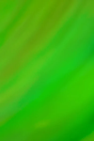 추상적 녹색의 소용돌이는 초점을 이루지 파동을 일으킨다 — 스톡 사진