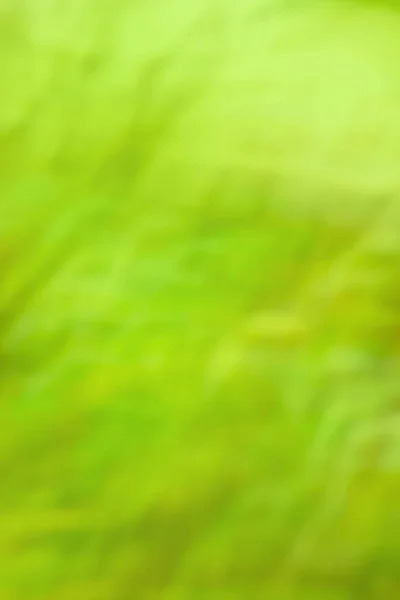 Зелений Туман Боке Фону Зелений Оливковий Колір Розмитого Руху Фону — стокове фото