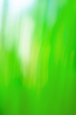 Green blurred colored abstract background. Green defocused bokeh background intentionally blurred editing
