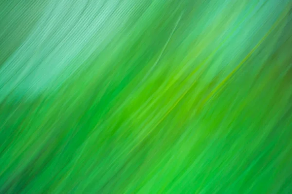 Świecące Zielone Tło Natury Sunburst Streszczenie Natura Zielone Tło — Zdjęcie stockowe