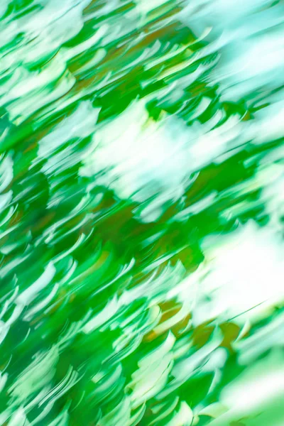 Güzel Bokeh Bulanık Ormanı arka planı. Bahar ya da yaz soyut doğa şablonu.