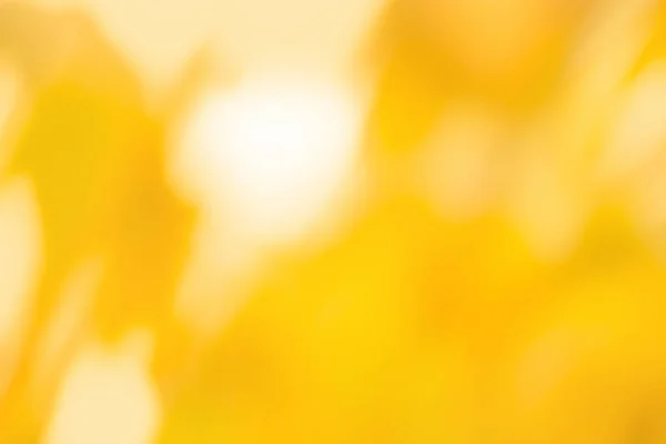 Laranja Amarelo Colorido Brilho Quente Brilhante Bokeh Amarelo Alaranjado Luz — Fotografia de Stock