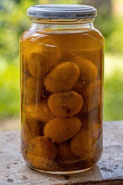 Itaja, Goias, Brazil - 12 24 2021: Pickled pequi in oil in a container with selective focus