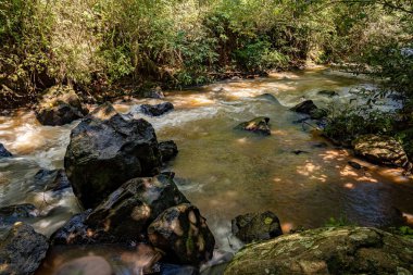 Kosta Rika, Mato Grosso do Sul, Brezilya - 12 18 2022: Salto do Sucuriu Belediyesi Doğal Parkı 'nın Otter bakış açısı