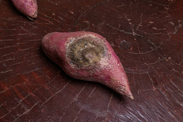 真菌の損傷を受けた根菜として使用される甘い味の塊茎の根とサツマイモ — ストック写真