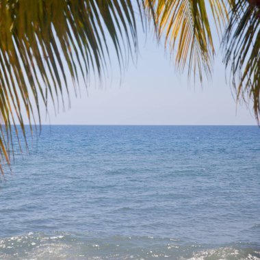 Palmiye yaprağı ve tropik plaj. Denizin arka planında palmiye yaprağı. Bali adasının kıyısında.