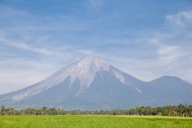 Endonezya, Bali 'deki Gunung Agung volkanı. Agung volkanı ve pirinç tarlaları.