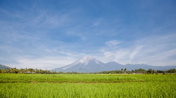 Sopka Agung Jasného Počasí Sopečná Rýžová Pole Agung — Stock fotografie