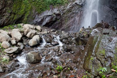 Ormandaki şelale. Ormandaki güzel şelale. Endonezya 'nın doğası.