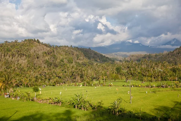 Hegyi Táj Bali Sziget Természete Hegyek Rizsföldek Egy Napos Reggelen — Stock Fotó