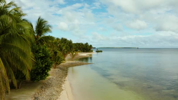 Playa tropical con palmeras., vista aérea. Hermosa playa. Costa de una isla tropical. La naturaleza de Filipinas. — Vídeo de stock